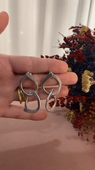 Double Hoop Earring Silver Gif 